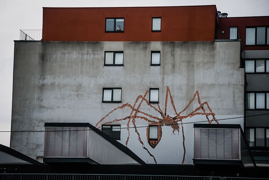 Brown Spider Painted on Gray Wall, architectural design, architecture HD wallpaper