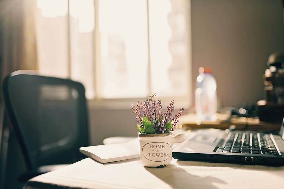 black laptop computer on desk, table, flower, flowering plant HD wallpaper