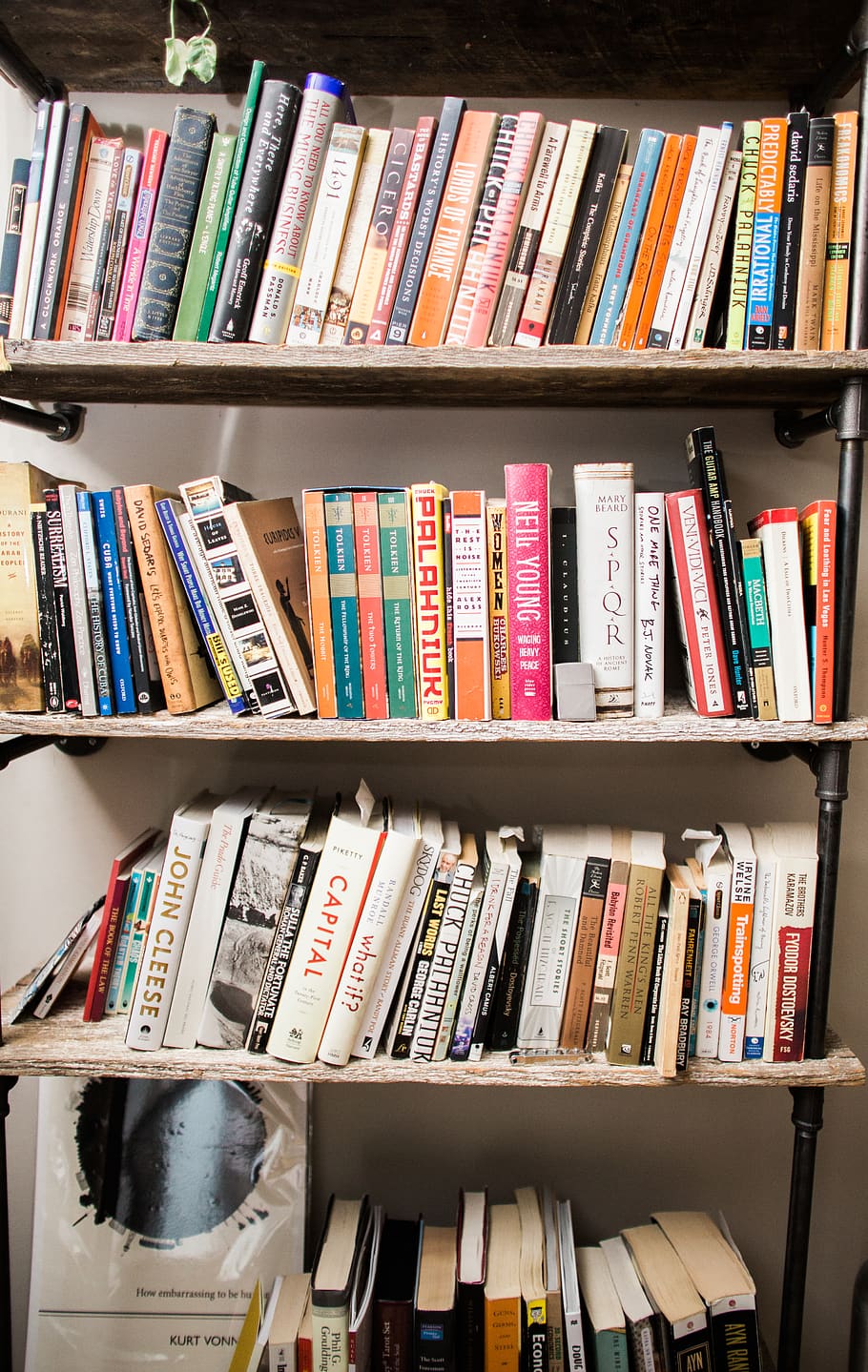 assorted book in book shelf, furniture, bookcase, library, story HD wallpaper