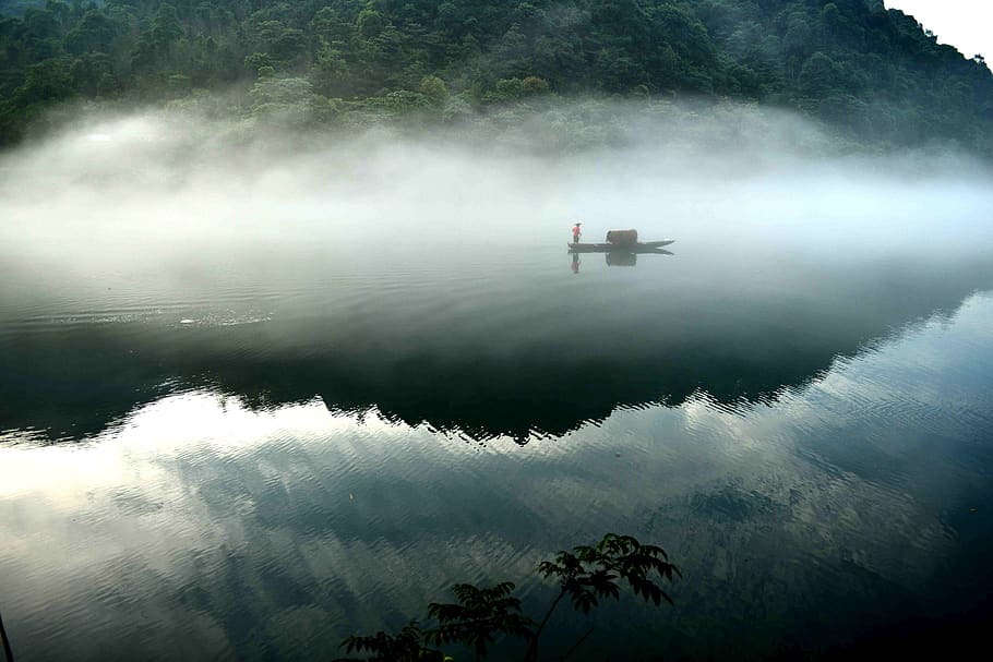fisherman, lake, water, fog, reflection, tree, tranquility HD wallpaper
