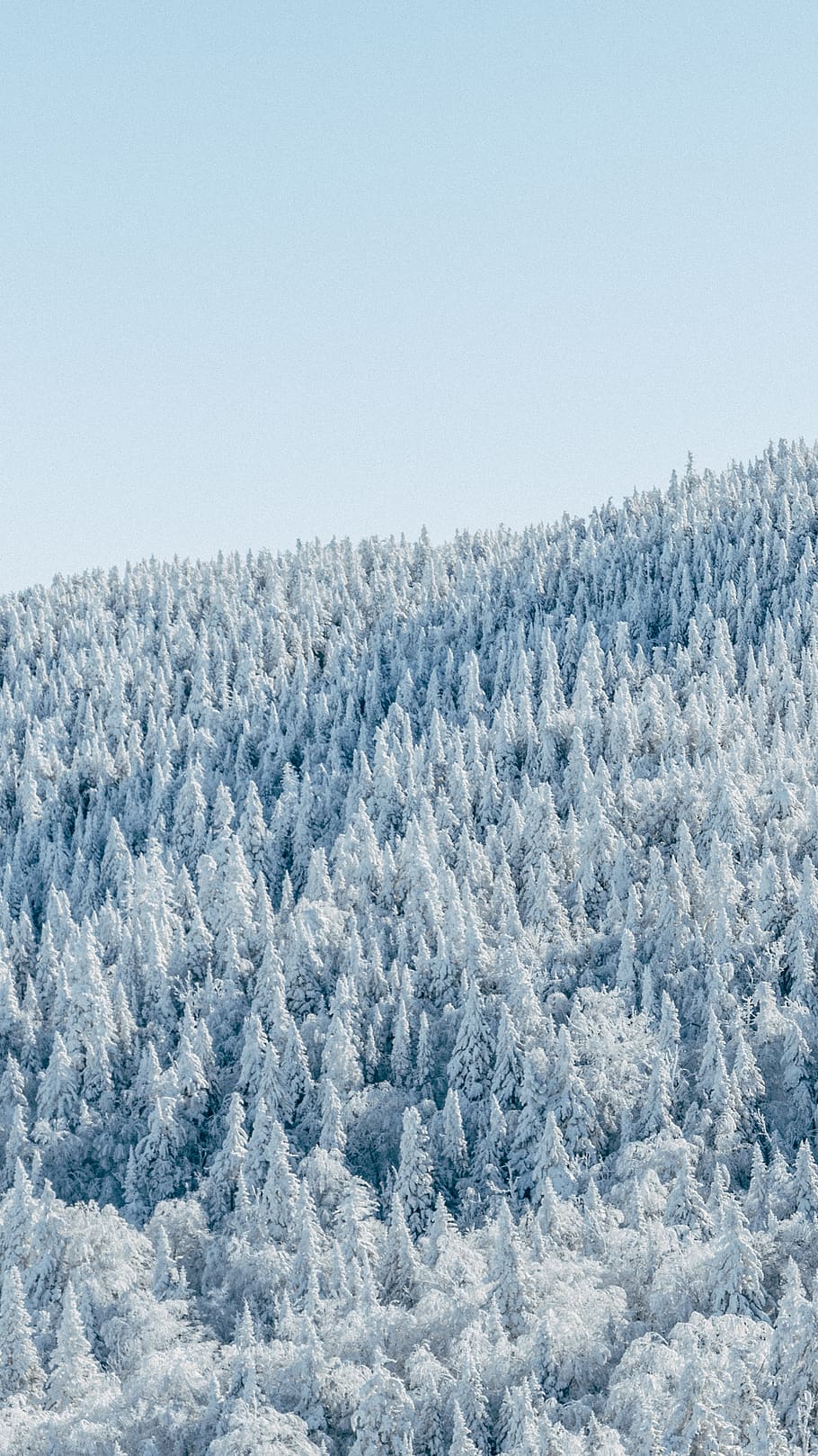beauty in nature, sky, winter, scenics - nature, tranquility HD wallpaper