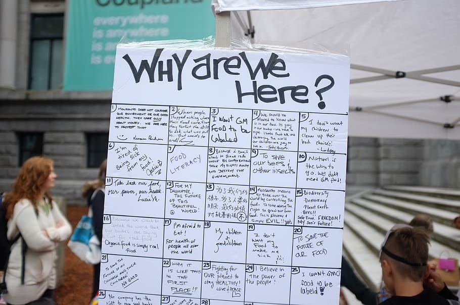 protest, signs, gmo, vancouver, downtown, text, communication HD wallpaper