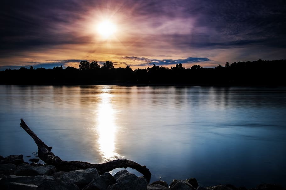 sun, sunset, water, river, waters, rhine, bank, drift wood HD wallpaper