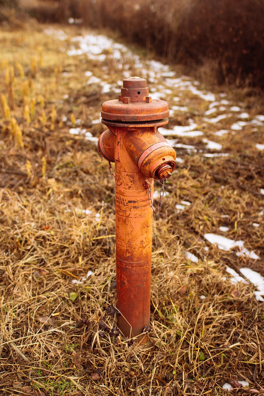 brown metal water pipr, fire hydrant, field, land, nature, no people