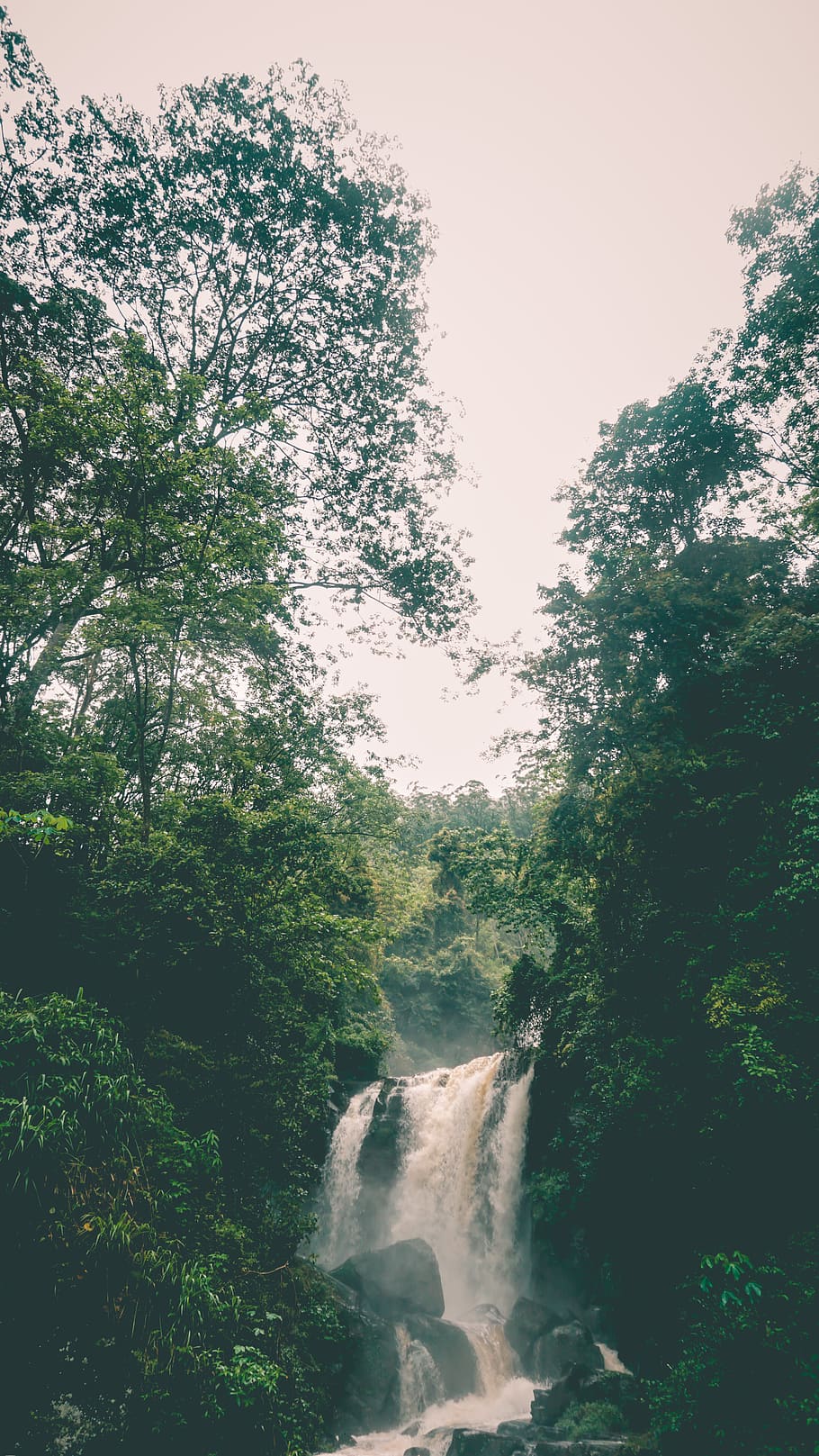waterfall, nature, trees, forest, plant, scenics - nature, beauty in nature HD wallpaper