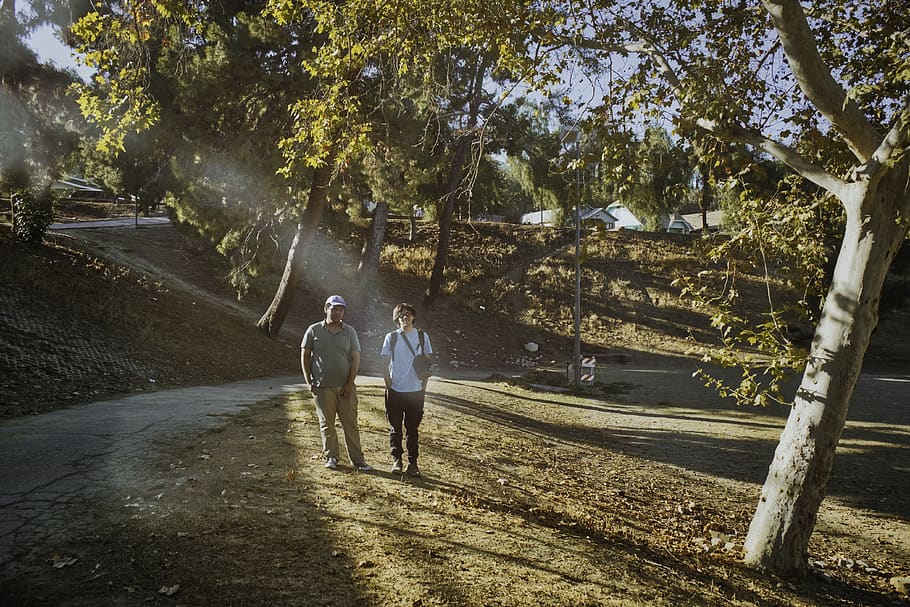 person, human, tree, plant, path, vegetation, walking, sunlight HD wallpaper