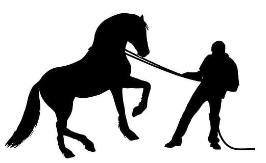 Silhouette of horse and trainer, man, training, wild, animal HD wallpaper