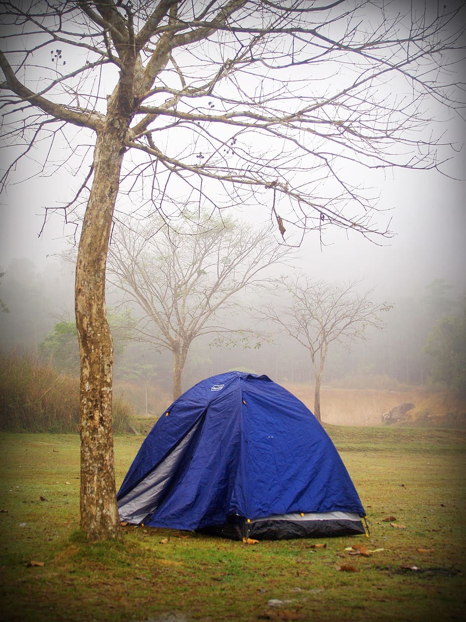 Blue Dome Tent Under Bare Tree, background, clouds, colors, environment HD wallpaper