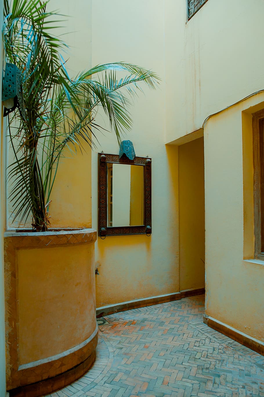 green leaf plant, architecture, built structure, building, entrance HD wallpaper