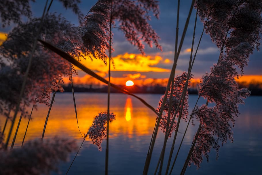 sunset, sunrise, dom, landscape, nature, joy, sky, evening HD wallpaper