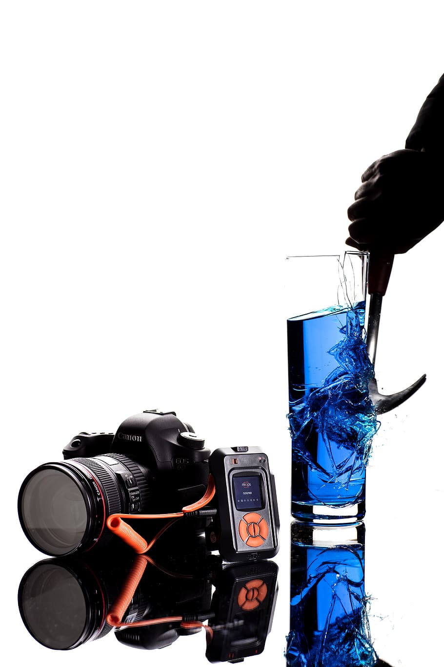 turkey, camera, camera trigger, high-speed photography, camera equipment HD wallpaper