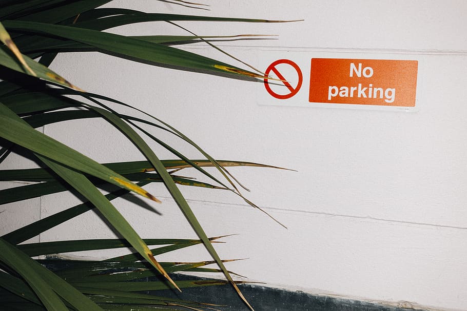 No Parking Sign on White Wall, bright, close-up, colors, daylight HD wallpaper