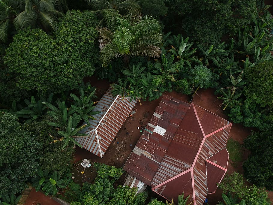 aerial photo of house surrounded with trees, home, forest, jungle HD wallpaper