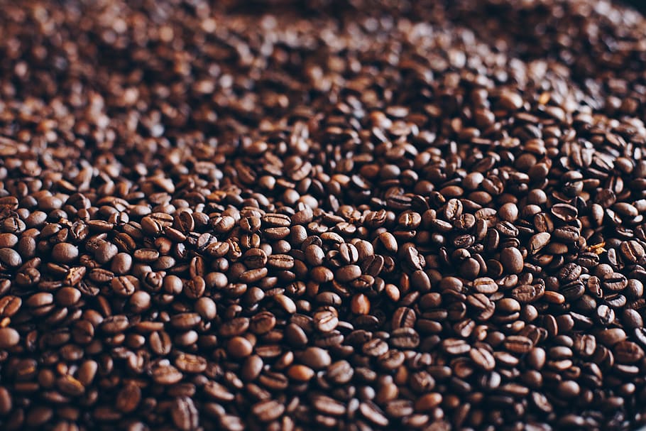 Close-Up Photography of Roasted Coffee Beans, aromatic, blur HD wallpaper
