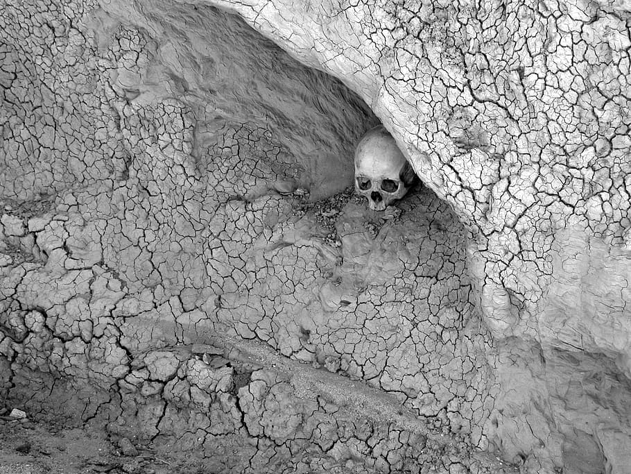 skull, human skull, death, desert, mud, cracks, bandw, black and white HD wallpaper