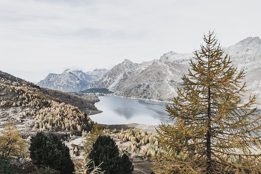laked between two mountains, water, tree, forest, woodland, landscape HD wallpaper