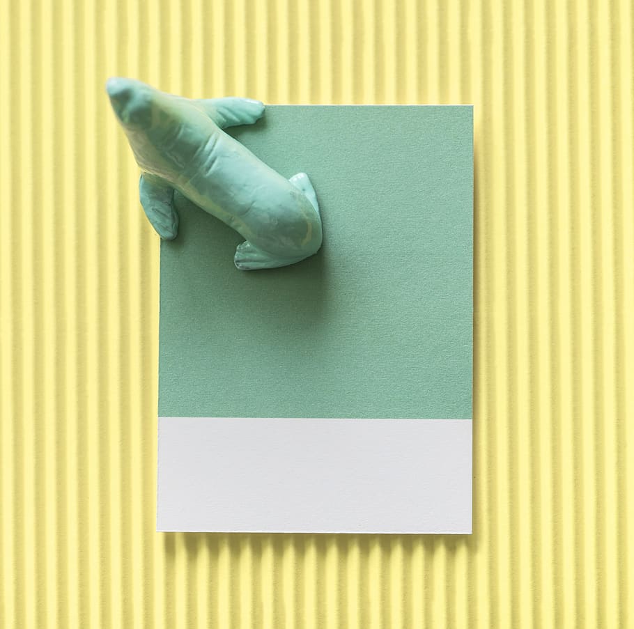 abstract, animal, background, card, colorful, concept, creative HD wallpaper