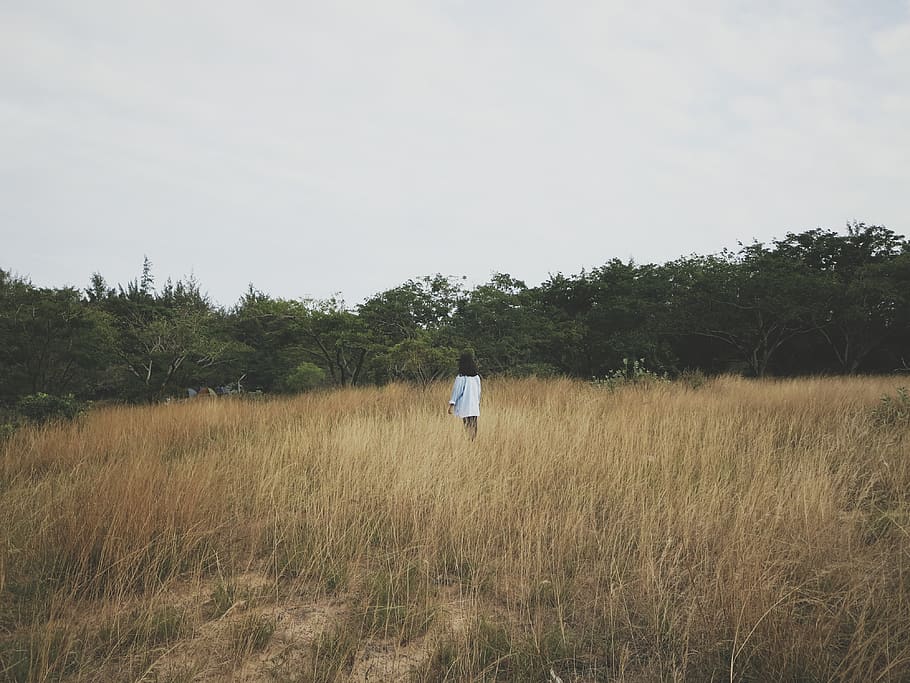 wide, fields, girl, alone, emotional, plant, sky, grass, tree HD wallpaper