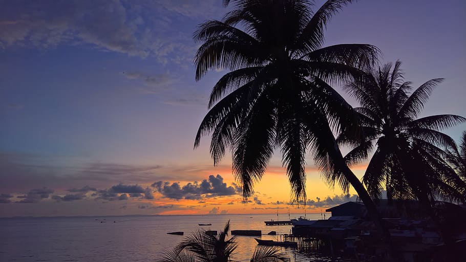 sunset, beach, the sea, ocean, nature, view, sky, travel, night HD wallpaper