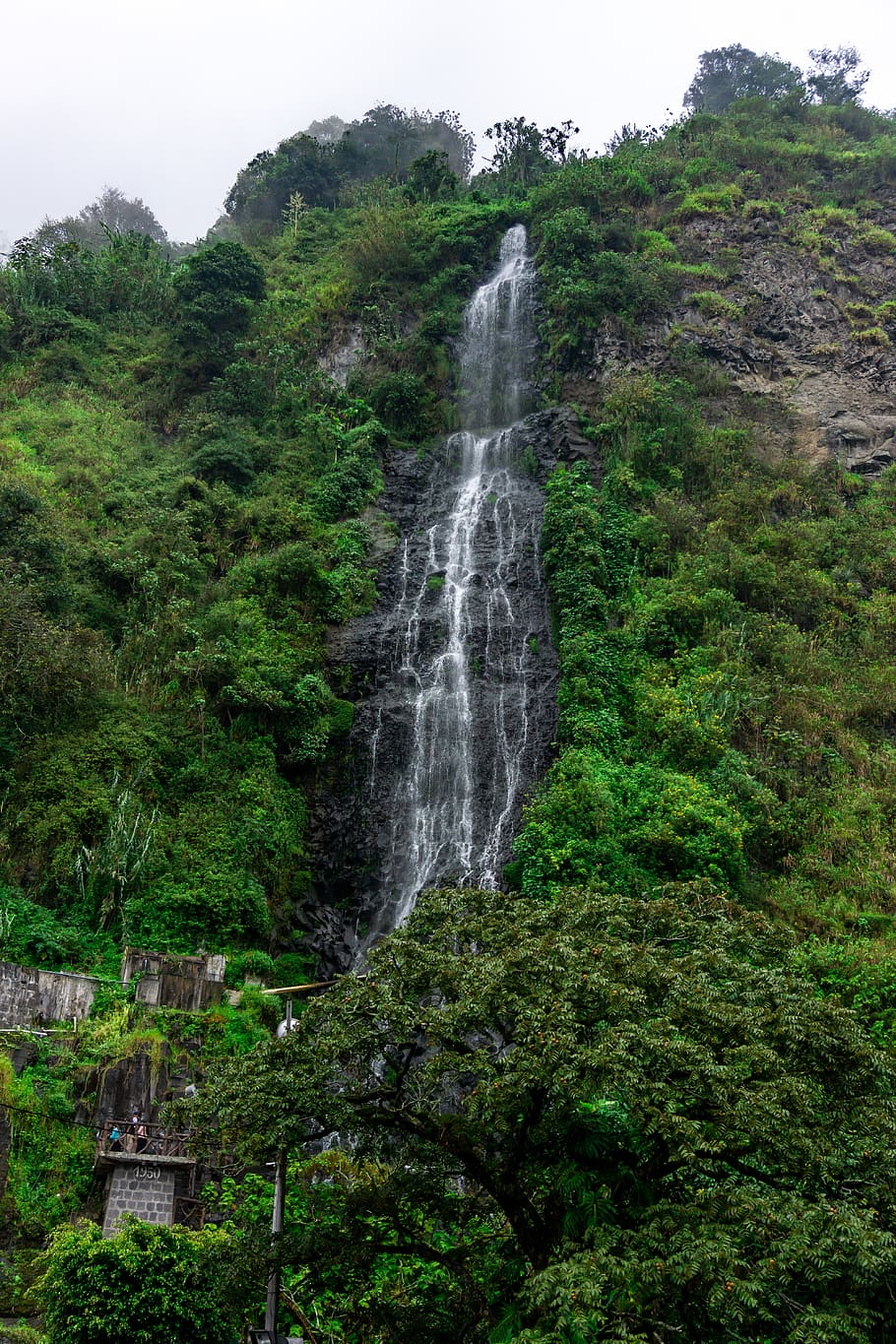 waterfall, nature, river, cascade, forest, jungle, rock, rocks HD wallpaper