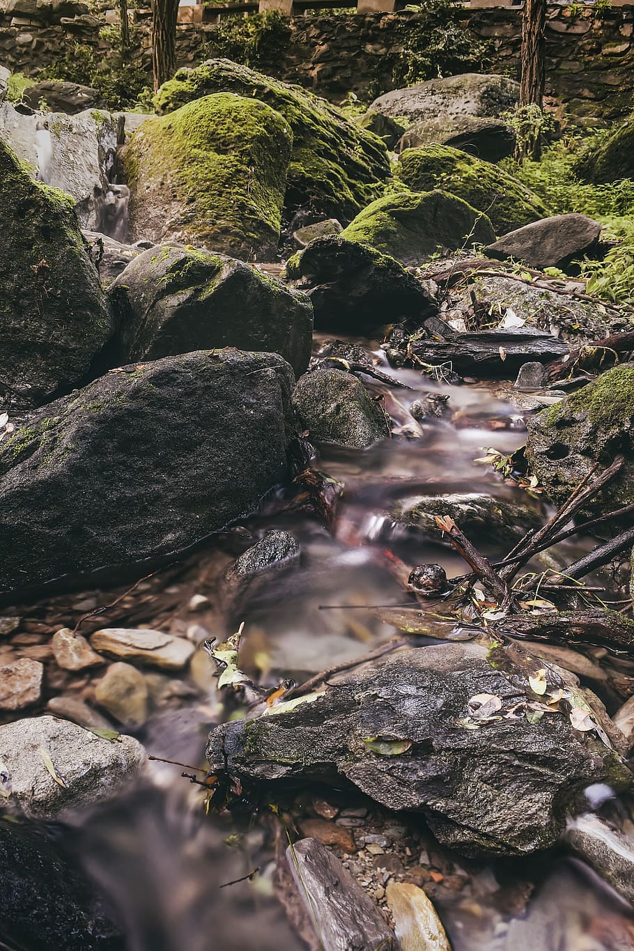 Photo of Stream, environment, flow, forest, landscape, long exposure HD wallpaper