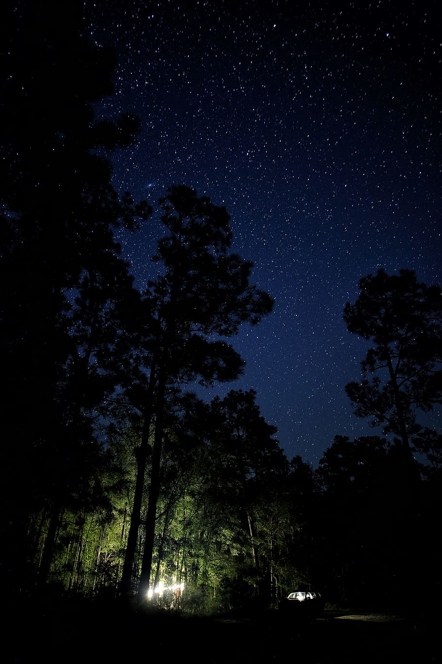 lighted flashlights under tall trees during night time, star HD wallpaper