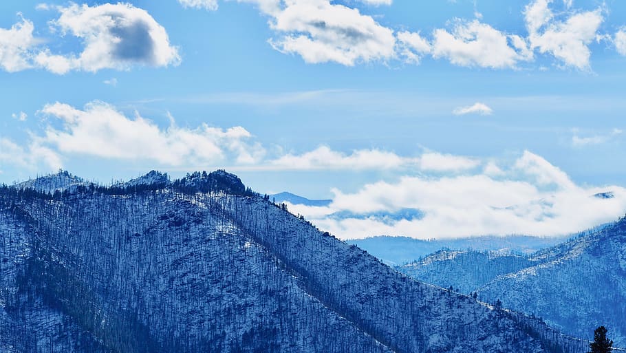 trees covered mountain under blue sky, outdoors, nature, mountain range HD wallpaper