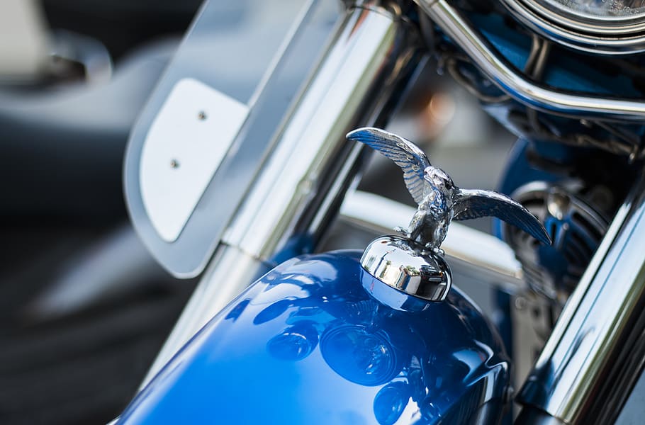Harley Davidson Emblem on Top Front of Blue Motorcycle, biker HD wallpaper