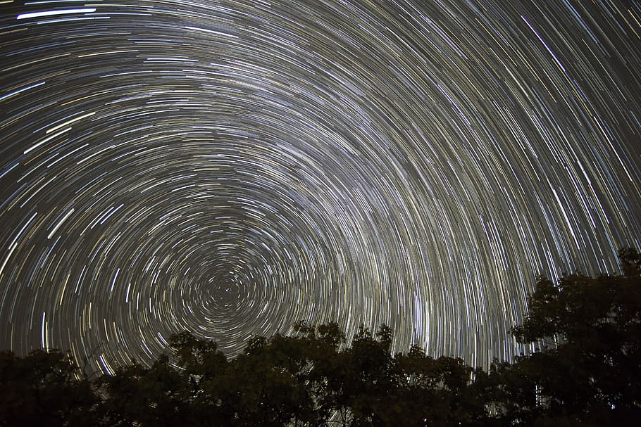 Timelapse Photo of Trees With Background of Star, art, astronomy HD wallpaper