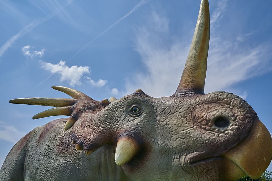 dinosaur, tusk, extinct, artificial, sky, head, animal, animal themes HD wallpaper