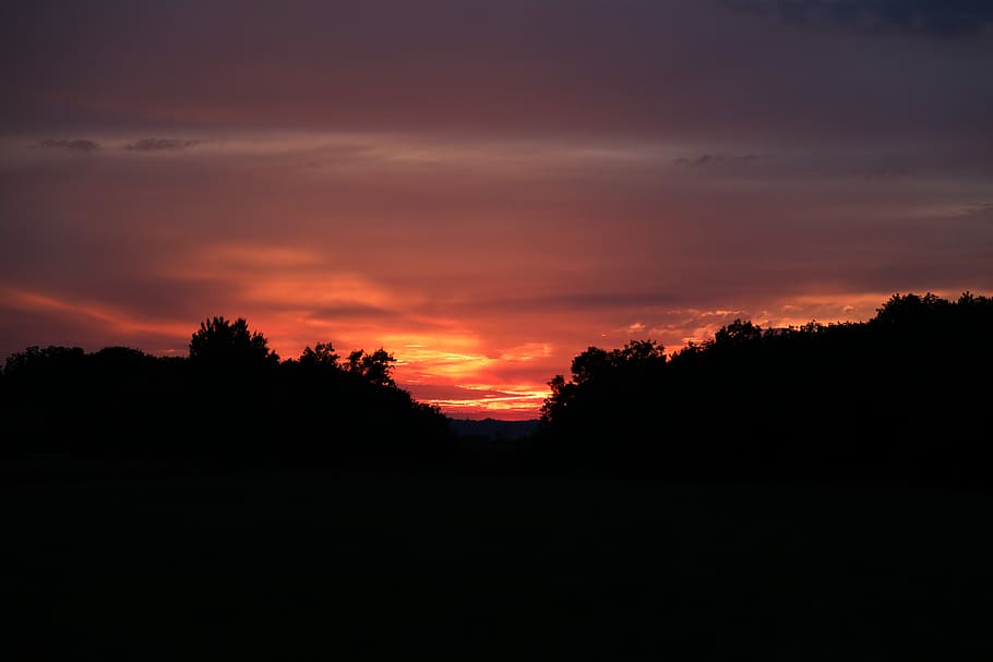 forest, landscape, sunset, redsky, beauty in nature, tranquil scene HD wallpaper