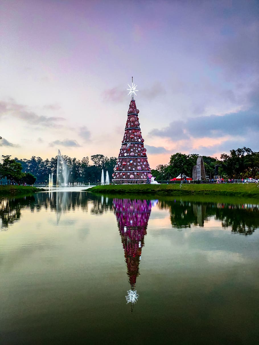 Tall Pink Christmas Tree Near Body of Water, christmas time, clouds HD wallpaper