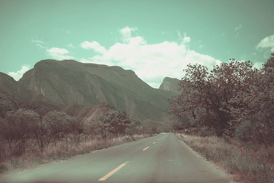 trees, forest, mountain, road, mexico, green, transportation HD wallpaper