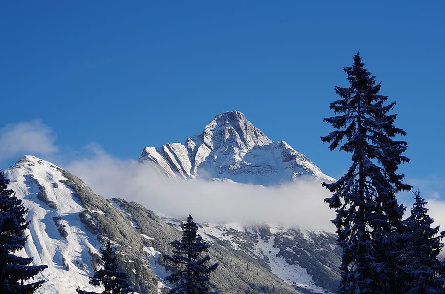 winter, snow, cold, nature, landscape, alpine, wintry, snow landscape HD wallpaper