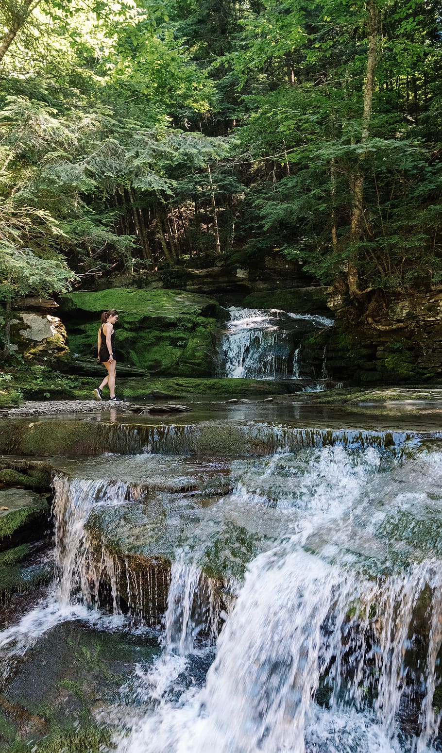united states, catskill, water, tree, forest, motion, beauty in nature HD wallpaper