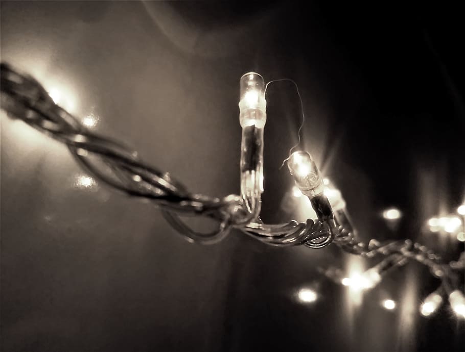 Selective Focus Photography of String Light, abstract, art, blur HD wallpaper