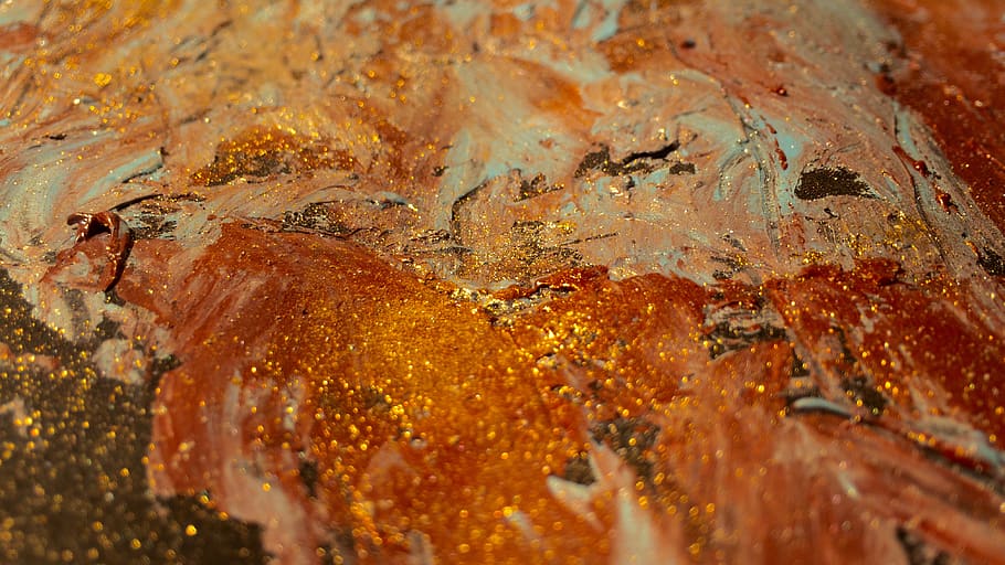 animal, fish, iran, rust, tar, art, food, pizza, blur, bokeh HD wallpaper