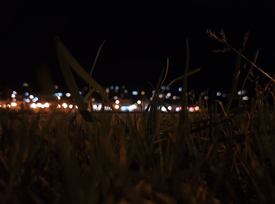grass, night, bokeh, life, lights, dark, macro, dof, city, nature HD wallpaper