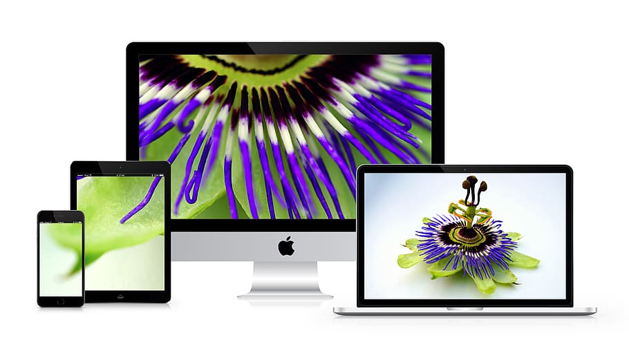 imac, flowers, desk, top, computer, screen, apple imac, technology, HD wallpaper