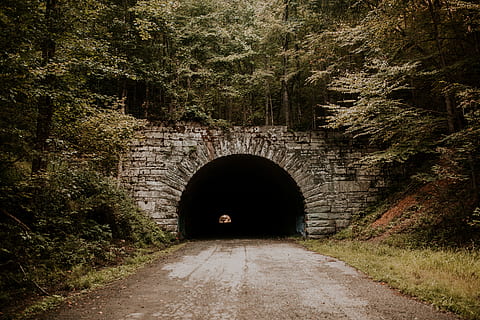 landscape photography of tunnel, brick, forest, shadow, road HD wallpaper