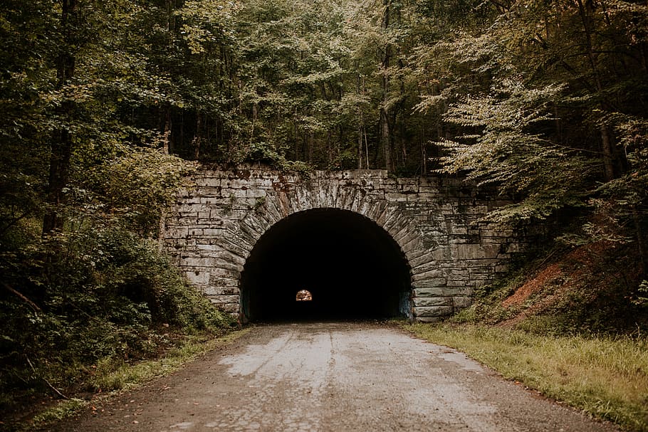 landscape photography of tunnel, brick, forest, shadow, road HD wallpaper