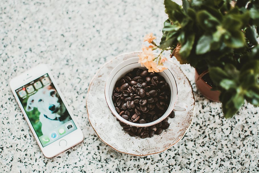 Coffee Beans in White Mug on Saucer, aromatic, caffeine, close-up HD wallpaper