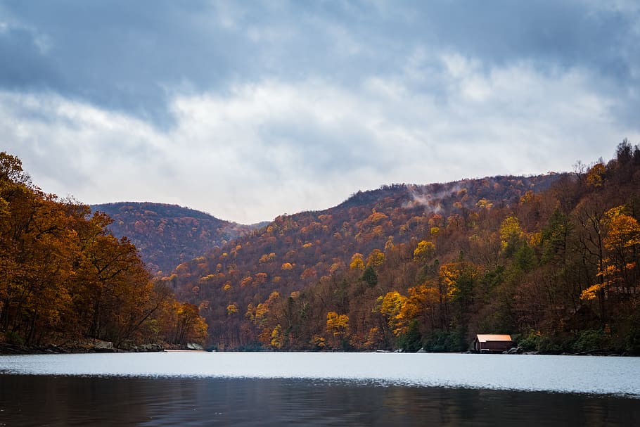 mountains, trees, forest, lake, water, house, autumn, landscape HD wallpaper