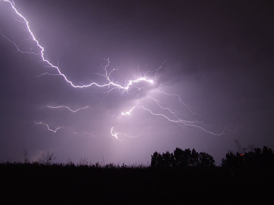 Lightning Crashed Under Trees during Night Time, dark, sky, thunder HD wallpaper