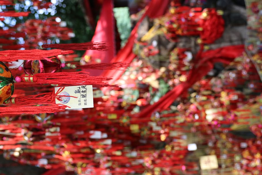 red tassel, china, guilin, fubo mountain, festival, crowd, plant HD wallpaper