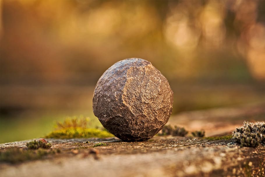Tilt Shift Lens Photography of Stone, blur, close-up, focus, grass HD wallpaper