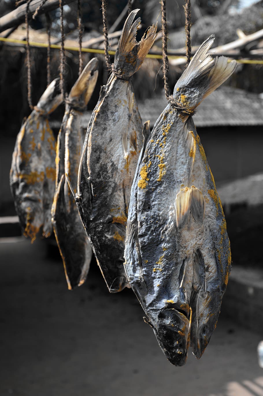 hung dried fish, close-up, hanging, food, focus on foreground HD wallpaper