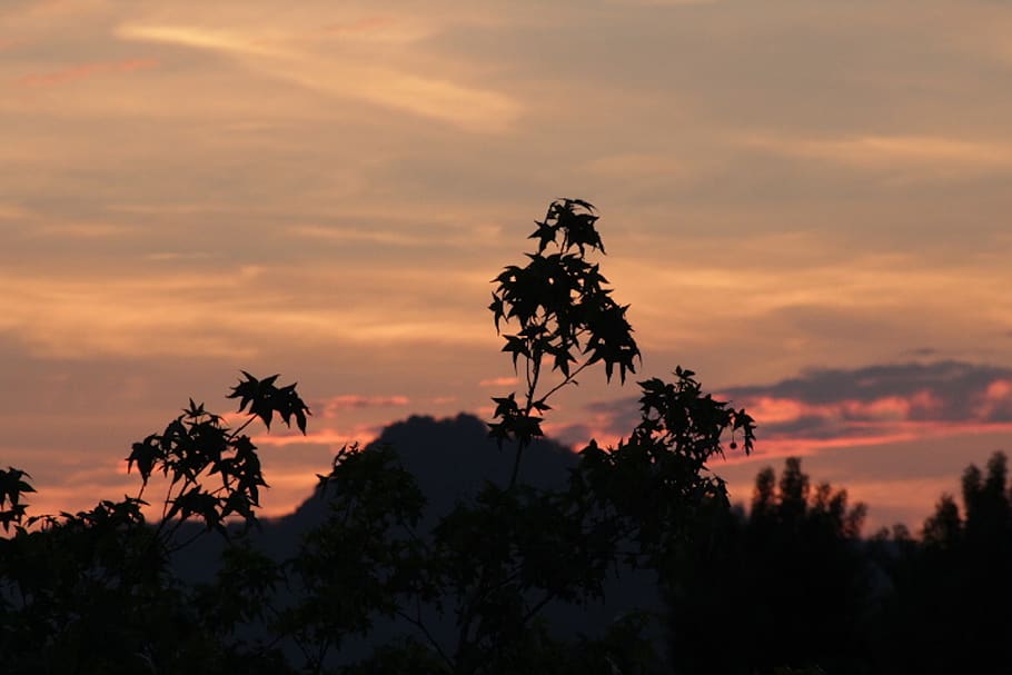 italy, parco regionale dei colli euganei, sunset, sky, plant, HD wallpaper