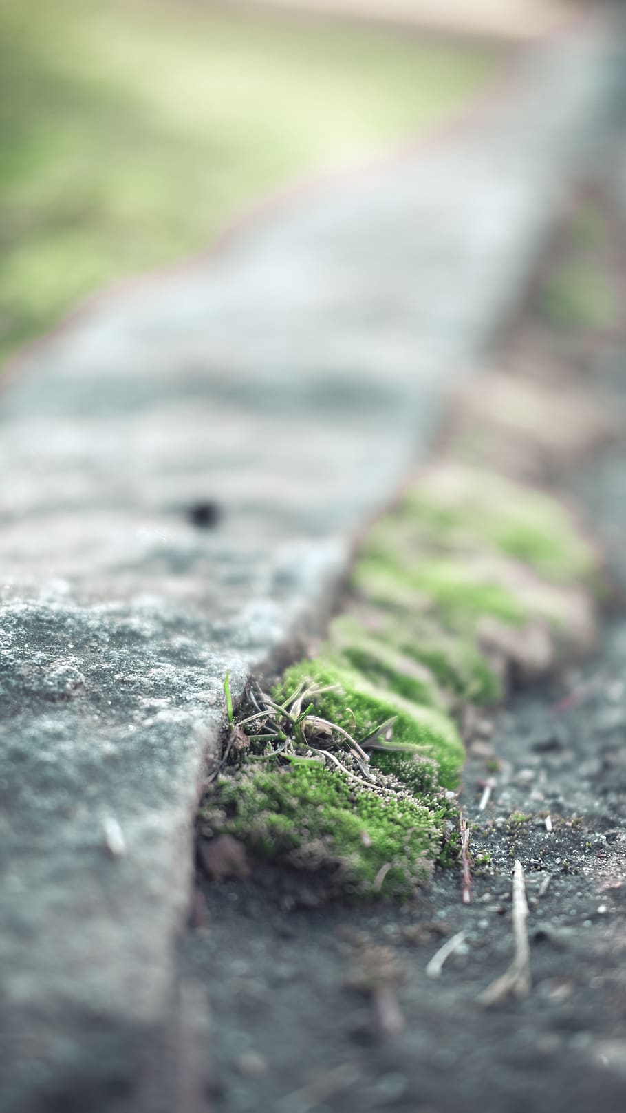 grass, sidewalk, concrete, blurred, green, road, selective focus HD wallpaper