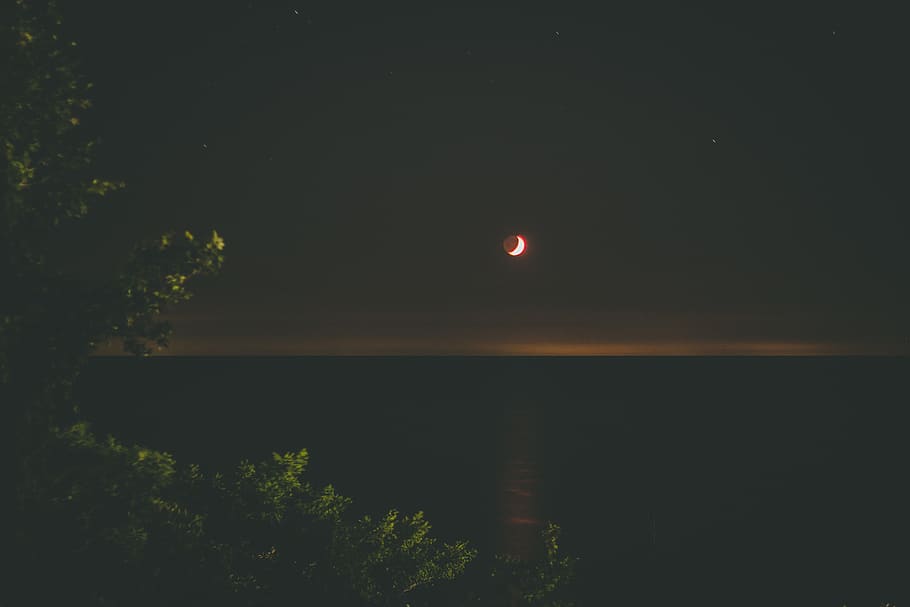 canada, goderich, lake, trees, night, moon, water, plant, beauty in nature HD wallpaper